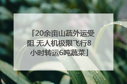 20余亩山蔬外运受阻 无人机极限飞行8小时转运6吨蔬菜